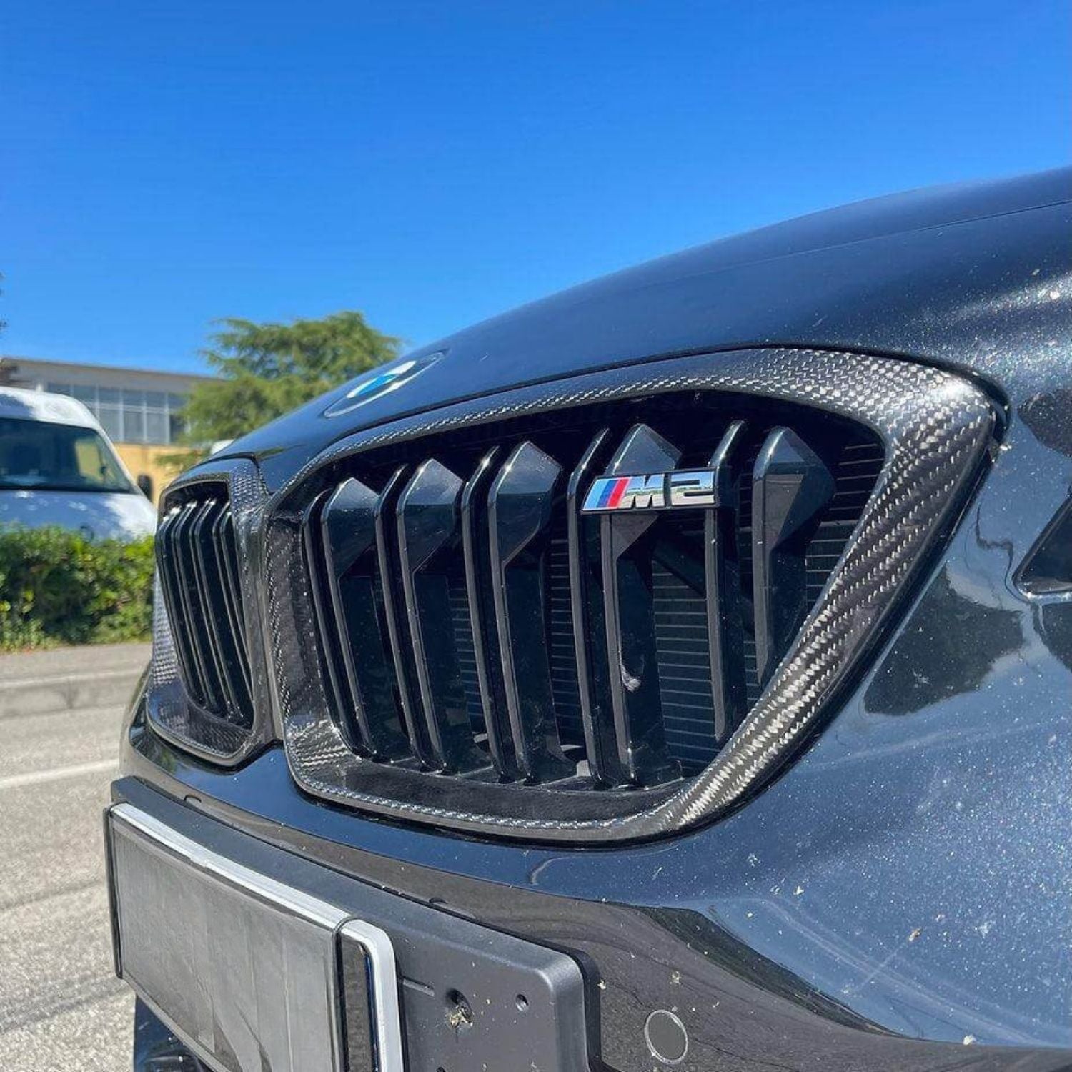 BMW M2 F87 Competition <tc>Carbon</tc> Doppelsteg-Frontgrills (2018-2020)